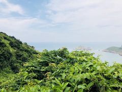 -枸杞岛