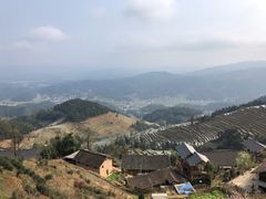 -紫鹊界梯田景区