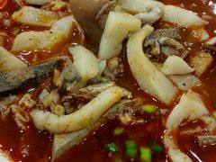 -杜优素羊杂碎(财满街店)