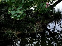 -西湖外事游船(湖滨二公园外事游船码头)