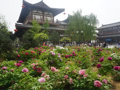 -西安青龙寺遗址景区