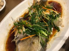 清蒸太阳鱼-大唐靓汤江门私房菜(景田店)