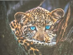 -罗红摄影艺术馆