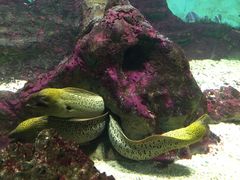 -北戴河圣蓝海洋公园