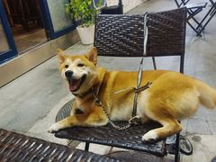 -LA MAISON公鸡和龙(蛇口店)