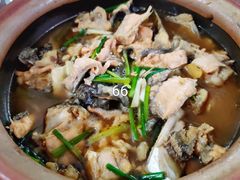 -板桥海鲜广场11排2号