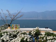 -大理洱海