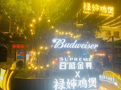 -禄婶鸡煲·打边炉