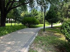 -大望京公园