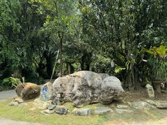 -云南勐巴娜西珍奇园