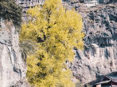 -大慈岩风景区