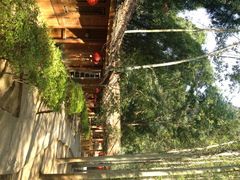 iphone_upload_pic-乡巴佬鼎锅饭