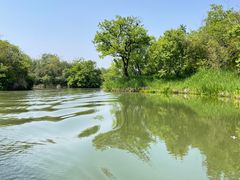 -西溪国家湿地公园