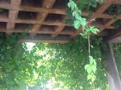 -长春公园(普阳街道)