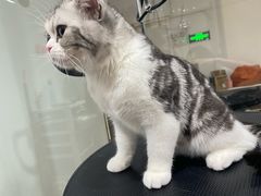 -熊小胖宠物生活馆(天华园店)