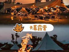 -栖露营camping·天幕烧烤·团建拓展·采摘营地
