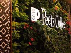 -Peet's Coffee皮爷咖啡(德基店)
