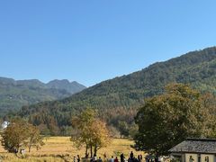 -塔川景区