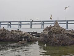 -黑石礁公园