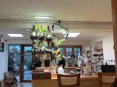 -本無咖啡·BeanWood Coffee