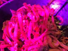 -纽扣NEWKO