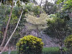 -狐尾山公园