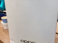 -sundanpulse顺电·脉(海岸城购物中心店)