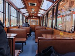 -合肥滨湖国家森林公园