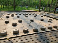 -合肥滨湖国家森林公园