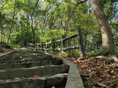 -上海佘山国家森林公园天马山园