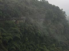 -川西竹海景区