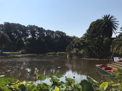 -墨尔本皇家植物园