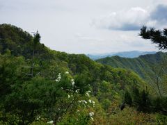 -少华山国家森林公园