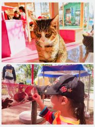 -萌宠亲子动物乐园(槐房万达店)