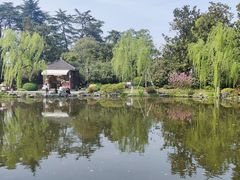 -家烧面馆【南山路知名经典面食】