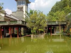 -广州神农草堂中医药博物馆