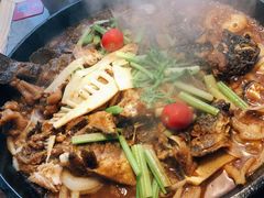 老板恋上鱼-老板恋上鱼(恒隆广场店)