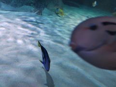 -沈阳海洋探索中心