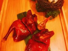 -广州富力君悦大酒店空中花园