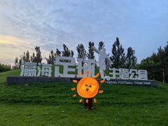 -瀛海足球主题公园