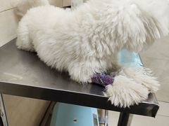 -酷宠动物医院(天通西苑店)