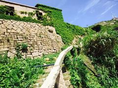 -东极岛景区