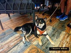-The Happy Monk(前海壹方汇店)