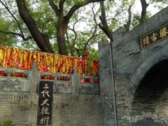 -大槐树寻根祭祖园