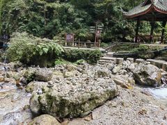 -峨眉山风景名胜区