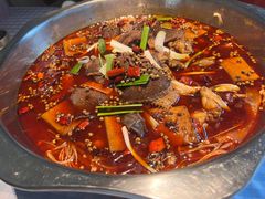 -宽口美蛙鱼头(大唐西市店)