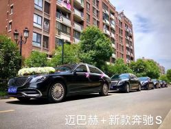 -蚂蚁婚车