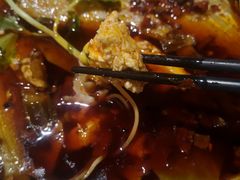 -川东长筷子耗儿鱼(万象润街店)