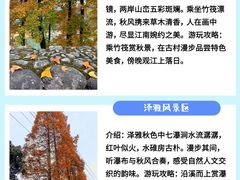 -泽雅景区