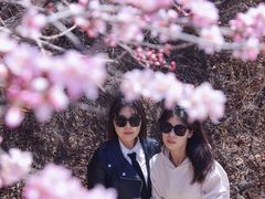 -鸡鸣山旅游景区